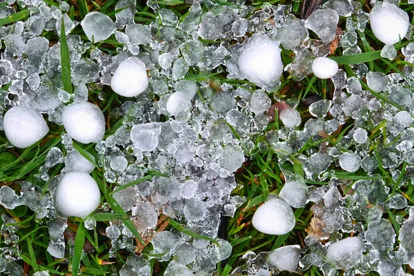 Grêlons Sur Herbe Une Prairie Verte Après Violent Orage Été — Photo