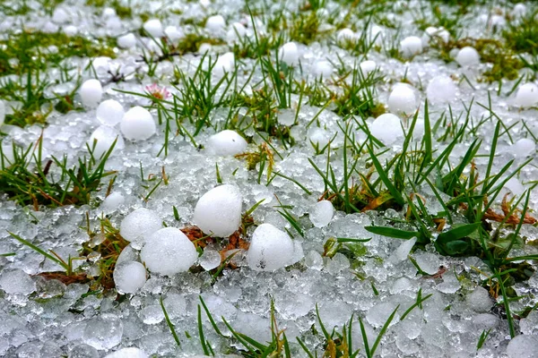 夏天一场大雷雨过后 草地上青草上的冰雹 — 图库照片