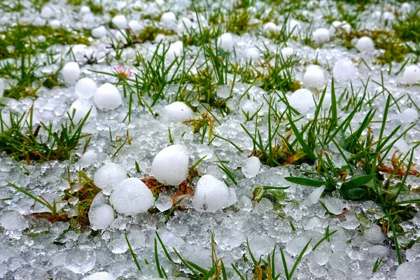 Şiddetli Bir Fırtınadan Sonra Yeşil Bir Çayırda Dolu Yağıyor — Stok fotoğraf