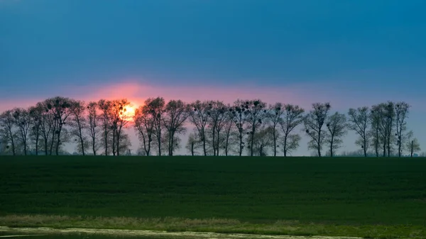 Vackert Sollandskap Solnedgången Som Gömmer Sig Bakom Träd Begreppet Naturens — Stockfoto