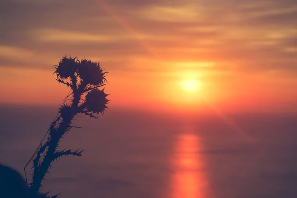 Сценический Закат Восход Солнца Над Поверхностью Моря Природные Пейзажи Красивые — стоковое фото