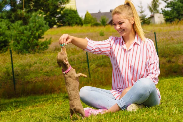 Frau Spielt Mit Kleinem Pinscher Ratter Prazsky Krysarik Mischlingshund Draußen — Stockfoto
