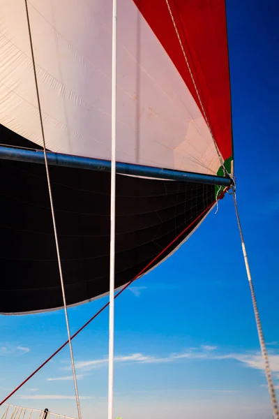 Yelkenli Yelkenli Ile Spinnaker Arka Planda Mavi Gökyüzü Denizcilik Nesneleri — Stok fotoğraf