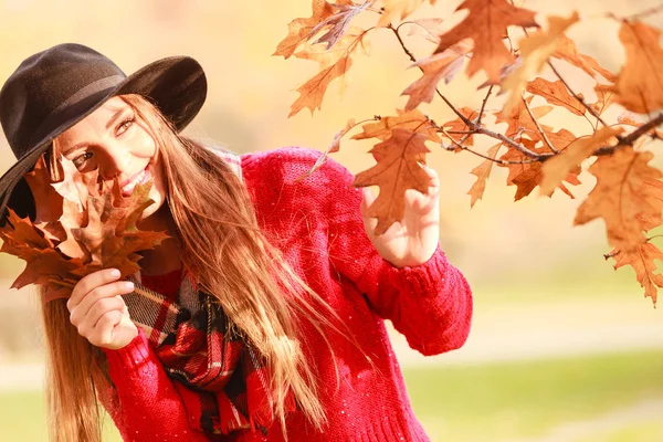 屋外リラクゼーション コンセプト 秋の花束のための金の葉を摘み 秋の公園で女性 — ストック写真