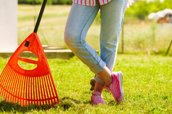 Giardinaggio Femmina Adulto Rastrello Prato Verde Erba Con Strumento Rastrello — Foto Stock