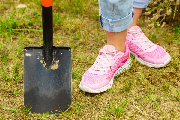 女园丁用铲子挖土 外面的院子里干活 — 图库照片