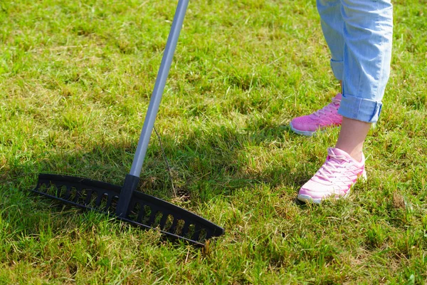 Giardinaggio Femmina Adulto Rastrello Prato Verde Erba Con Strumento Rastrello — Foto Stock