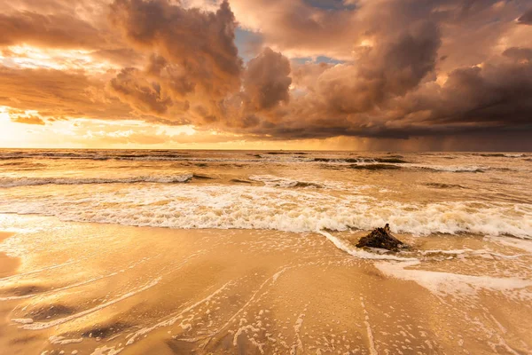 Costa Mar Báltico Tempo Pôr Sol Romântico Dourado Com Troncos — Fotografia de Stock