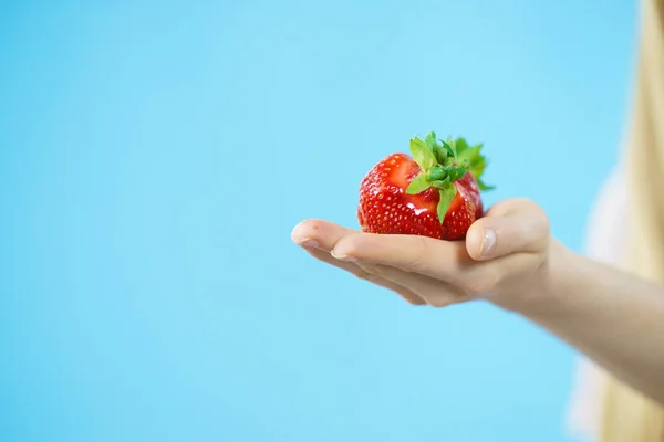 Fresh Red Strawberry Fruit Palm Blue Background Copy Space Healthy — Stock Photo, Image