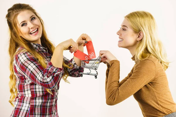 Дві Жінки Тримають Кошик Продають Знак Відсотка Жінки Люблять Купувати — стокове фото