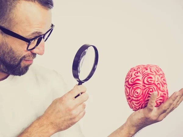 Yetişkin Inek Gözlüklü Adam Insan Beyin Modeline Bakıyor Düşünme Zeka — Stok fotoğraf