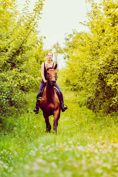 Animal Concepto Equitación Mujer Joven Montándose Caballo Través Del Jardín — Foto de Stock