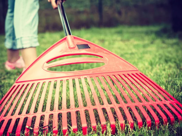 Jardinagem Feminino Adulto Raking Grama Gramado Verde Com Ferramenta Ancinho — Fotografia de Stock