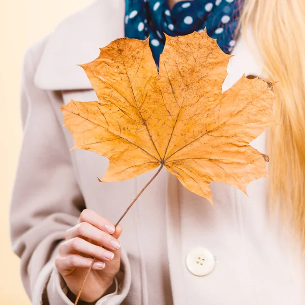 Höstens Naturliga Dekorationer Koncept Kvinnan Håller Höstlöv Studio Skott Orange — Stockfoto