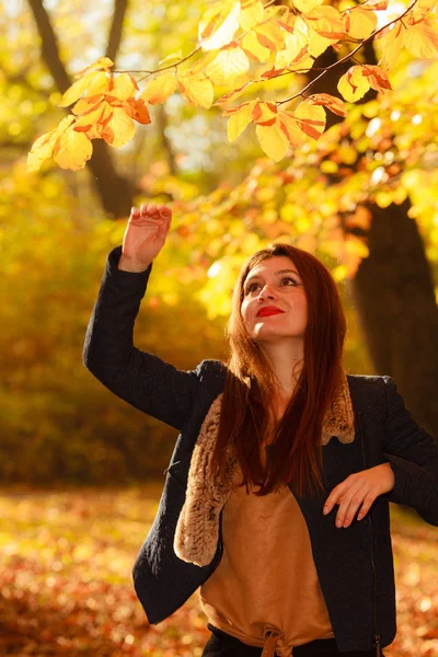与分公司的年轻女人 秋天的树叶的女孩 时尚放松自然观 — 图库照片