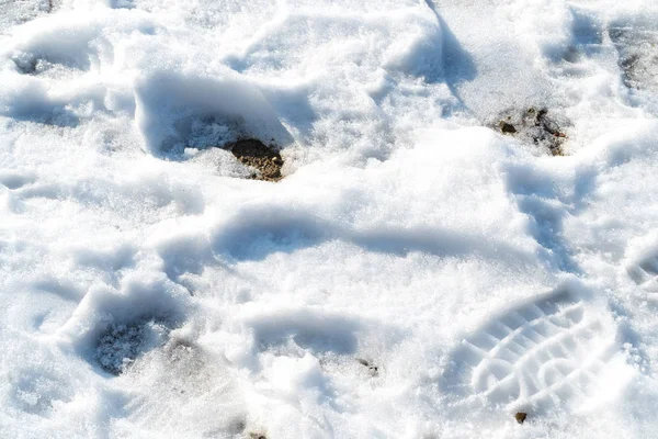 详细关闭起来的人类鞋脚印与积雪融化 冬天的细节概念 — 图库照片