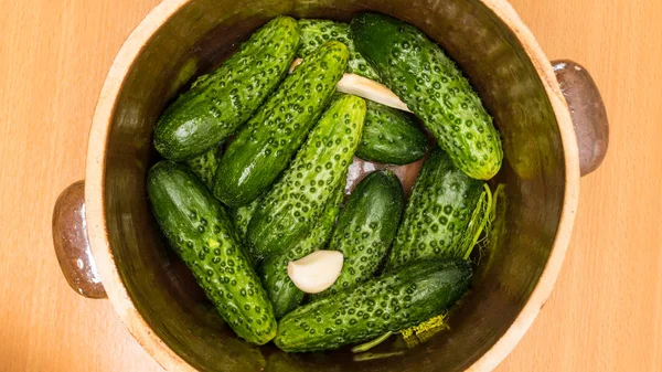 Preparing sour low salt cucumbers in clay jar pot. View from above — Stock Image Preparing Sour Low Salt Cucumbers Clay Jar Pot View Royalty Free Stock Photos