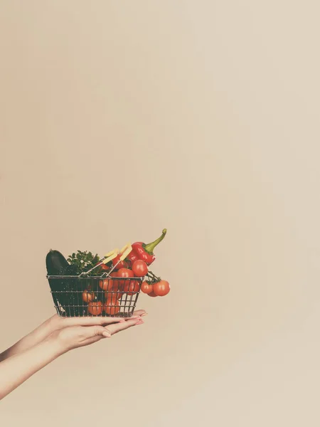 Perdere Peso Acquistare Cibo Sano Prodotti Vegetariani Cesto Shopping Con — Foto Stock