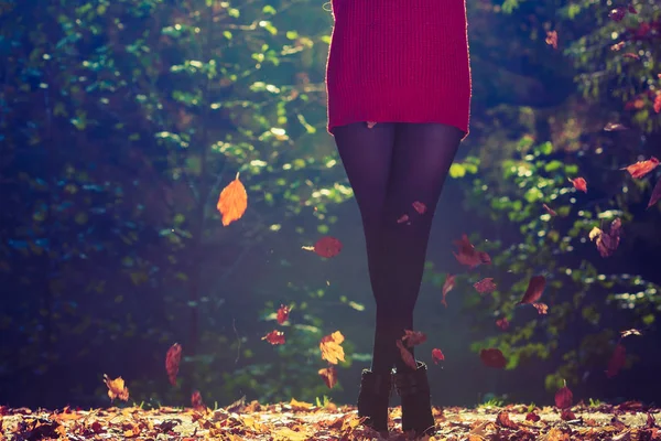 Radost Svobodu Mladá Příjemné Atraktivní Žena Baví Podzimní Listy Plovoucí — Stock fotografie