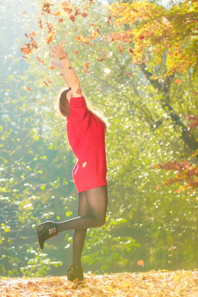 Осеннее Время Весело Беззаботно Веселая Милая Молодая Женщина Играющая Листьями — стоковое фото