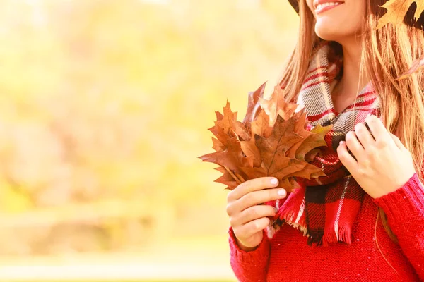 Молодая Женщина Ходит Осеннему Парку Держа Руках Дубовые Листья Прекрасный — стоковое фото