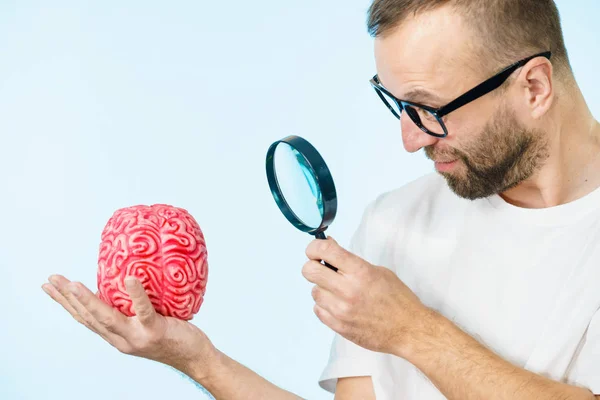 Hombre Nerd Adulto Con Anteojos Mirando Modelo Cerebro Humano Conjunto —  Fotos de Stock