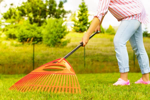 Jardinería Hembra Adulto Rastrillar Césped Verde Hierba Con Herramienta Rastrillo — Foto de Stock