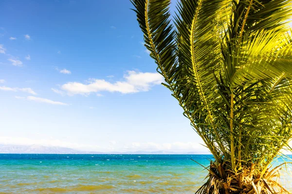 风景秀丽的海滩海与棕榈树 旅游假期 — 图库照片
