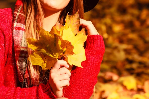 Saisonales Wetter Entspannungskonzept Freien Frau Herbstpark Pflückt Goldblätter Für Herbstlichen — Stockfoto