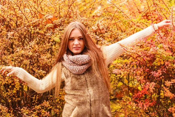 Krásná Podzimní Sezóny Módní Žena Představuje Proti Barevné Podzimní Listí — Stock fotografie
