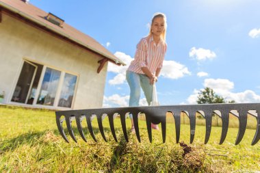 Unusual angle of woman raking leaves using rake. Person taking care of garden house yard grass. Agricultural, gardening equipment concept. clipart