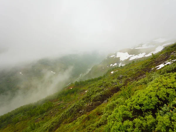 アウルランとノルウェーのレールダル ハイキング エリア夏かすんでいる雨の日のノルウェー風光明媚な山の風景 — ストック写真