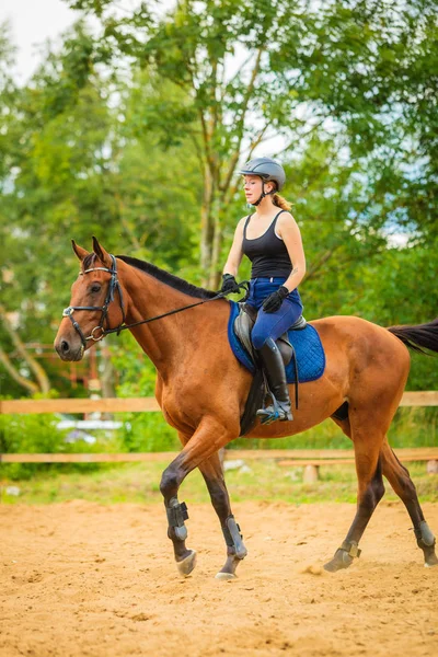 ウエスタン競技コンセプトの世話 騎手の女の子で乗馬をやって田舎の草原 晴れた日の外 — ストック写真