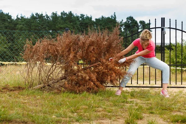 女园丁从后院取出枯干的参天大树 在房子周围辛苦操劳 — 图库照片