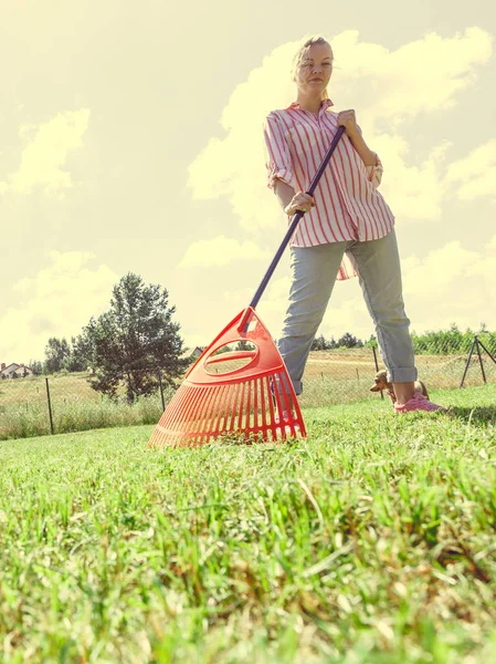 Ângulo Incomum Mulher Raking Folhas Usando Ancinho Pessoa Cuidando Jardim — Fotografia de Stock