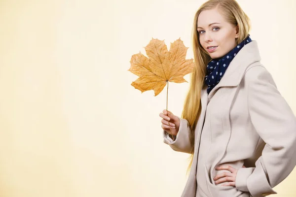 Autumnal Natural Decorations Concept Woman Holding Autumn Leaf Studio Shot — Stock Photo, Image