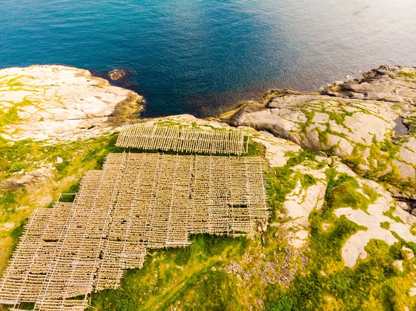 Aerial View Cod Stockfish Drying Racks Lofoten Islands Industrial Fishing — Stock Photo, Image