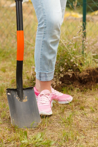 Donna Giardiniere Scavare Buca Nel Terreno Con Pala Lavori Cantiere — Foto Stock