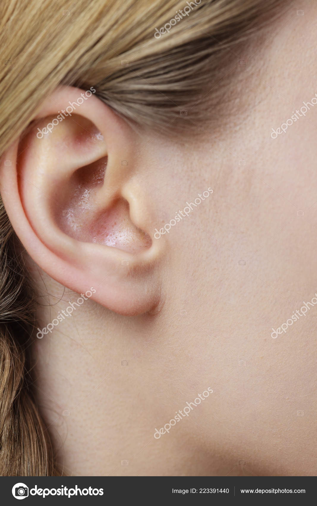 Detail Head Female Human Ear Blonde Braid Hair Close Stock Photo
