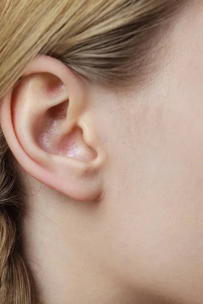 金髪女性の人間の耳と頭の詳細髪を三つ編み クローズ アップ — ストック写真
