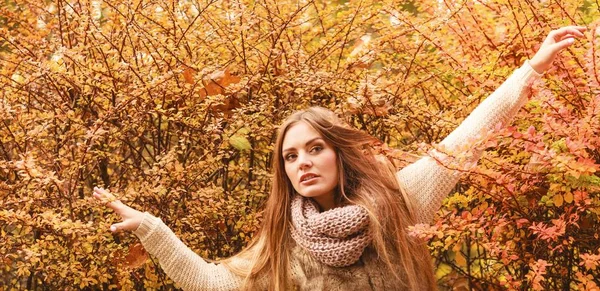 Piękna Jesienna Sezonu Modne Tajemnicza Kobieta Pozowanie Przed Kolorowe Jesienne — Zdjęcie stockowe