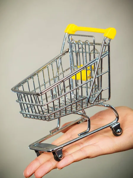 Comprando Coisas Conceito Lojas Mercado Mulher Mão Segurando Pequeno Carrinho — Fotografia de Stock