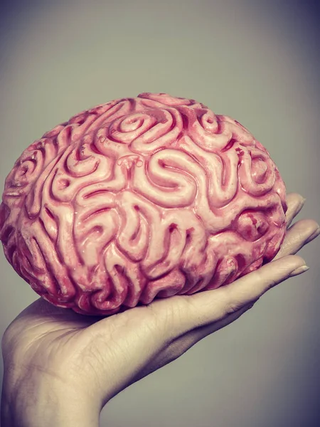 Woman Hand Holding Brain Having Something Mind Thinking Solution Idea — Stock Photo, Image