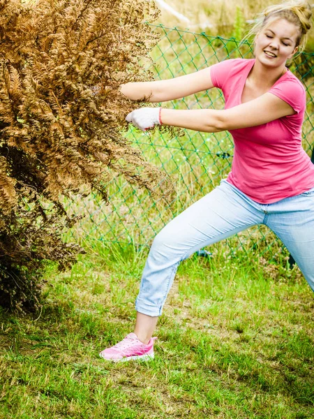 Kvinnlig Trädgårdsmästare Tar Bort Vissnande Torkat Thuja Träd Från Sin — Stockfoto