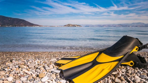 游泳设备的鳍状物躺在海滩上 暑假快乐的概念 — 图库照片