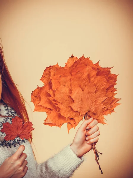 Herfst Natuurlijke Decoraties Concept Vrouw Hand Met Boeket Gemaakt Van — Stockfoto