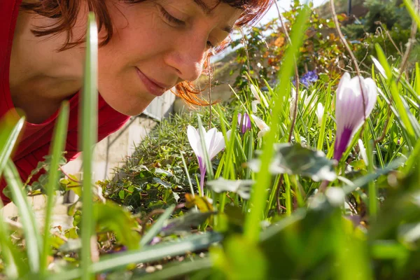 Close Woman Smelling White Crocus Flower Garden Bloom Spring Weather — Stock Photo, Image