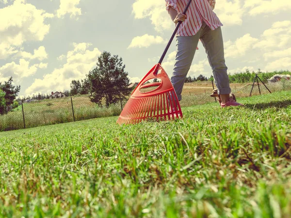 Unusual angle of woman raking leaves using rake. Person taking care of garden house yard grass. Agricultural, gardening equipment concept.