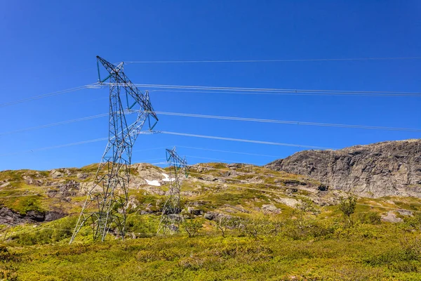 Piloni Trasmissione Dell Elettricità Linee Elettriche Torri Alta Tensione Nel — Foto Stock