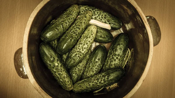 Preparing sour low salt cucumbers in clay jar pot. View from above